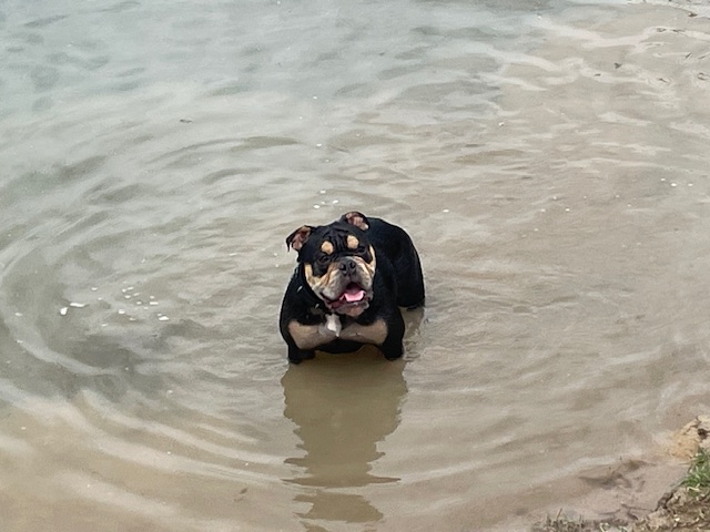 Urlaub